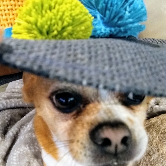 Meet your Posher, Beth - Picture 8 of 13